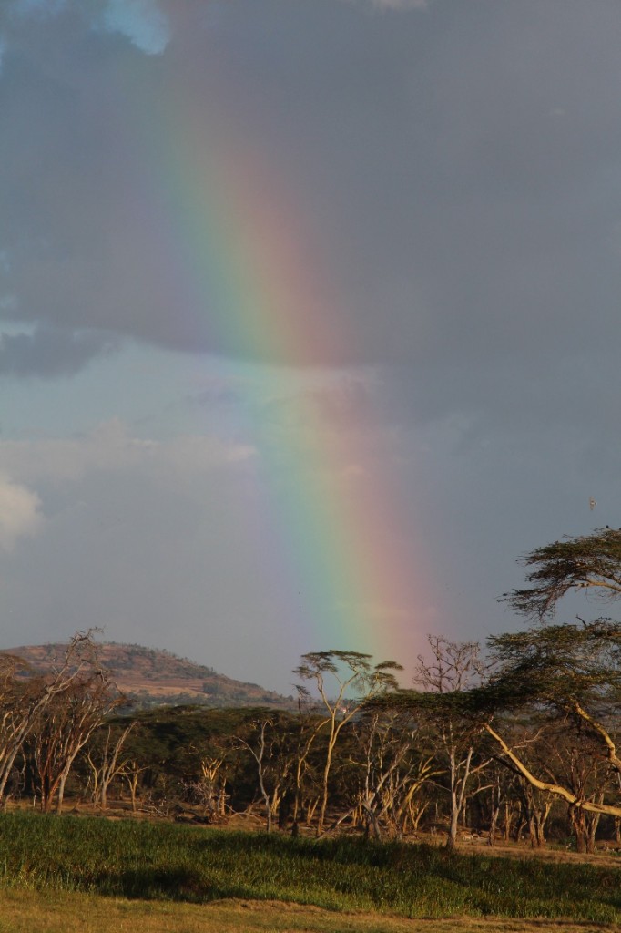 image024